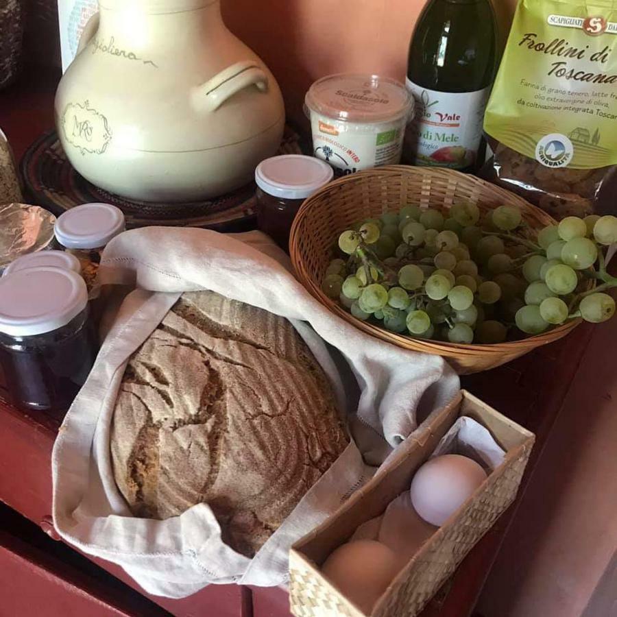 Bioagriturismo Poderaccio Incisa in Val d'Arno Esterno foto